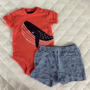 🌵Crown and Ivy Set